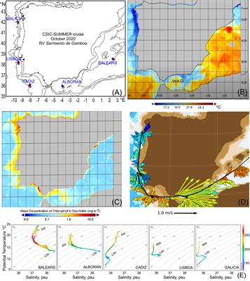 Variation in mesopelagic fish community composition and structure between Mediterranean and Atlantic waters around the Iberian Peninsula